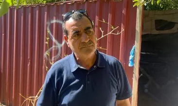 Erzincan’da başıboş sokak köpeği saldırısı: 6 kuzu telef oldu! 'Onlarla mutlu oluyordum' #erzincan
