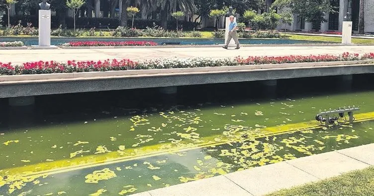 İBB kendi hizmet binanın önündeki süs havuzunu temizleyemiyor! Havuzun üzeri yosunla kaplı