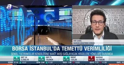 Borsa İstanbul’da hangi hisseler öne çıkabilir? Enis Şenol: Temettü verimi yüksek hisseleri seçmek önemli
