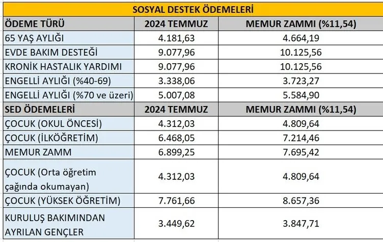 MEMUR, EMEKLİ ZAMMI 2025 SON DAKİKA: Emekli maaşı zammı için 6 aylık fark belli oldu! İşte yeni memur zammı ve emekliye zam oranı