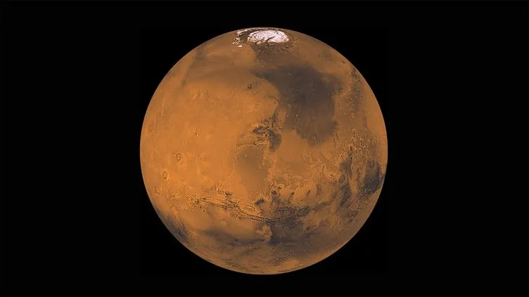 Elon Musk, Mars kolonisi için ne dedi?