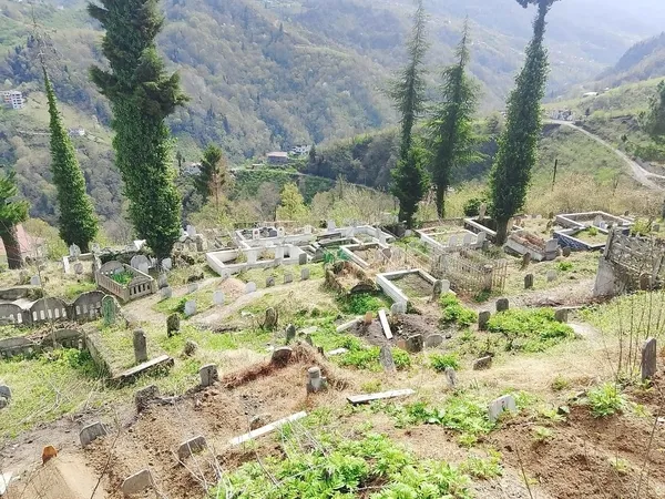 tuik-verileri-aciklandi-trabzon-5-bin-622-kayip-ile-karadenizde-ikinci-sirada-1782377690010.jpg