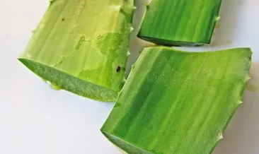 Aloe vera nasıl kullanılır? Aloe vera jel yüze nasıl uygulanır?