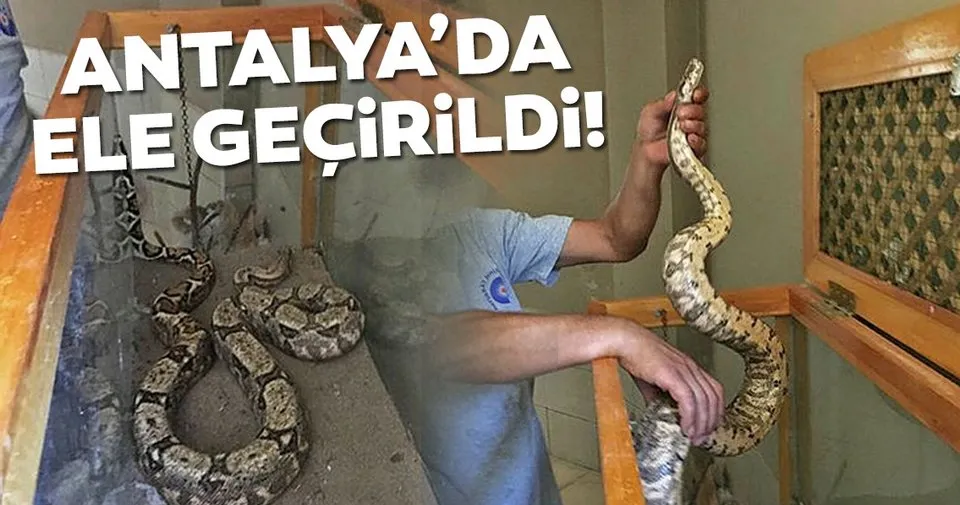 sabah