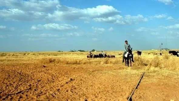 Otoyolların değer kattığı araziler!