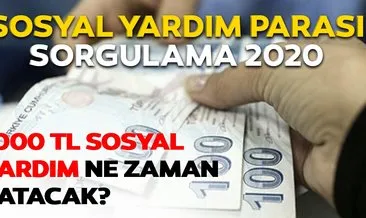 Bakan Selçuk sosyal yardım destekleri son dakika açıklaması: Sosyal Yardım paraları ne zaman yatacak? Sosyal yardım destekleri sorgulama, başvuruları nasıl yapılır, kimler alabilir?