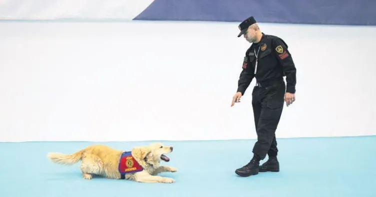 Saydı, süründü, selam verdi