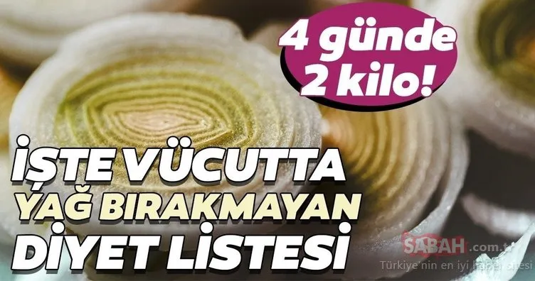 Vücutta yağ bırakmayan 4 günde 2 kilo verdiren diyet listesi