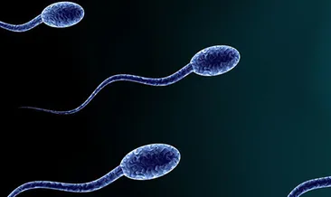 Batı’da erkeklerin sperm sayısı azalıyor