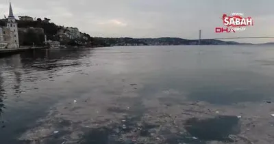 İstanbul Boğazı’nda çöp adaları oluştu | Video