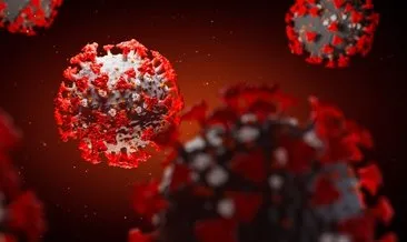 Son dakika haberi: Sıradaki salgın bu virüslerden çıkabilir! Koronavirüs salgınına yön verecek araştırma sonucu!