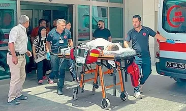 Sahipli köpek dehşeti