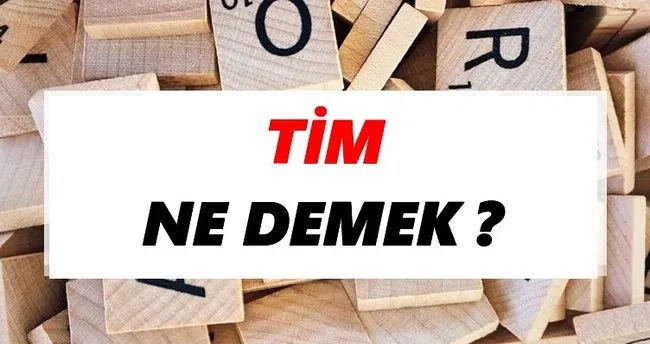 Tim Ne Demek? TDK’ya Göre Tim Sözlük Anlamı Nedir?