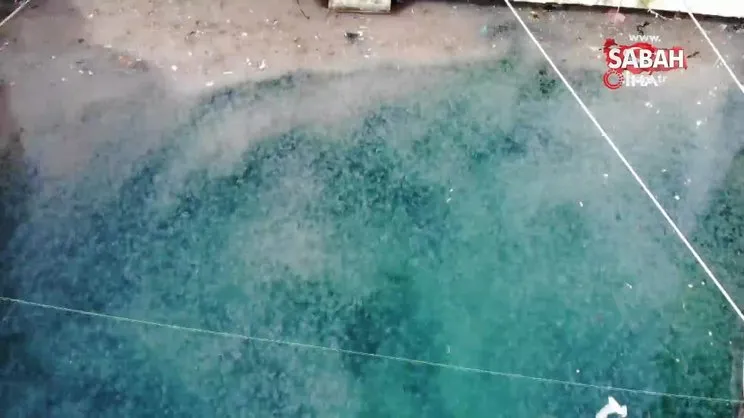 İstanbul Boğazı'ndaki denizanası istilası kamerada | Video