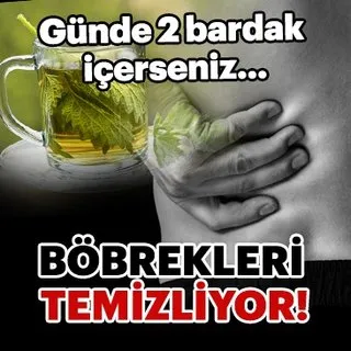 Günde 2 bardak içerseniz böbrekleri temizliyor!