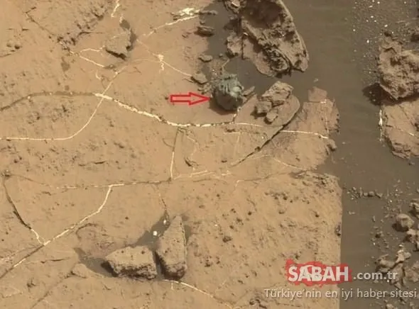 Mars'tan gelen fotoğraflar kan dondurdu! Dünyayı şaşkına çevirdi!