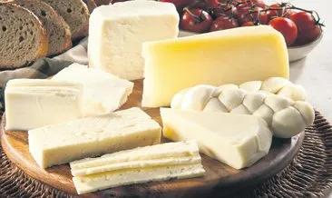 Peynir diye nişasta sattılar