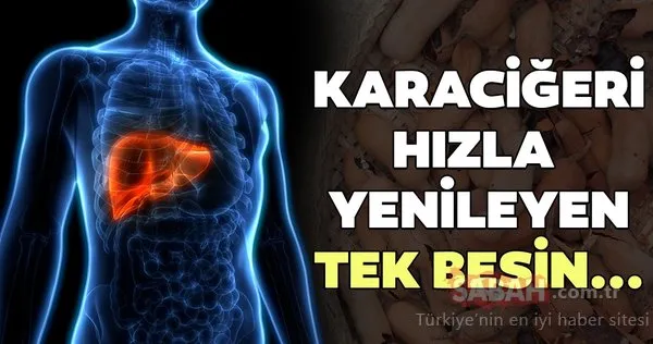 Karaciğeri baştan sona yenileyen en etkili besin...