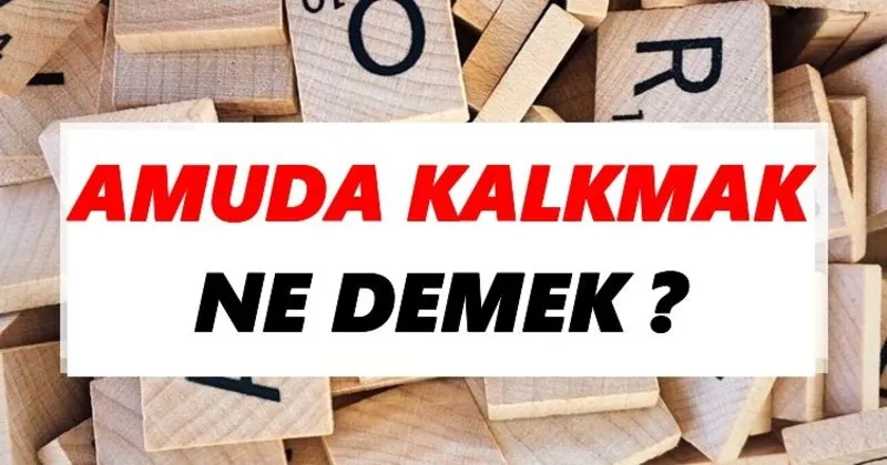 Amuda Kalkmak Ne Demek Amuda Kalkmak Tdk Sozluk Anlami Tdk Anlami Haberleri Gibi ya da benzeri soruları üye olmadan pratik bir biçimde hemen sorabilir, daha sonra kısaca i̇pte amuda kalkma tanımı. amuda kalkmak ne demek amuda kalkmak