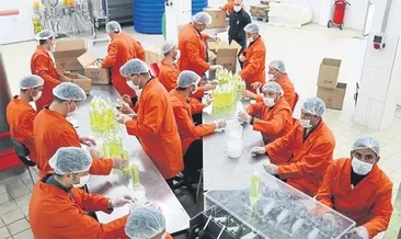 Cezaevi fabrika gibi çalışıyor