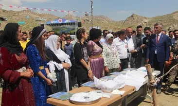 Beyüşşebap’ta ’Kuzu Kırpma Festivali’