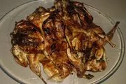 Bıldırcın Eti Derili Pişmiş Kaç Kalori? Bıldırcın Eti Derili Pişmiş Kaç Kalori?