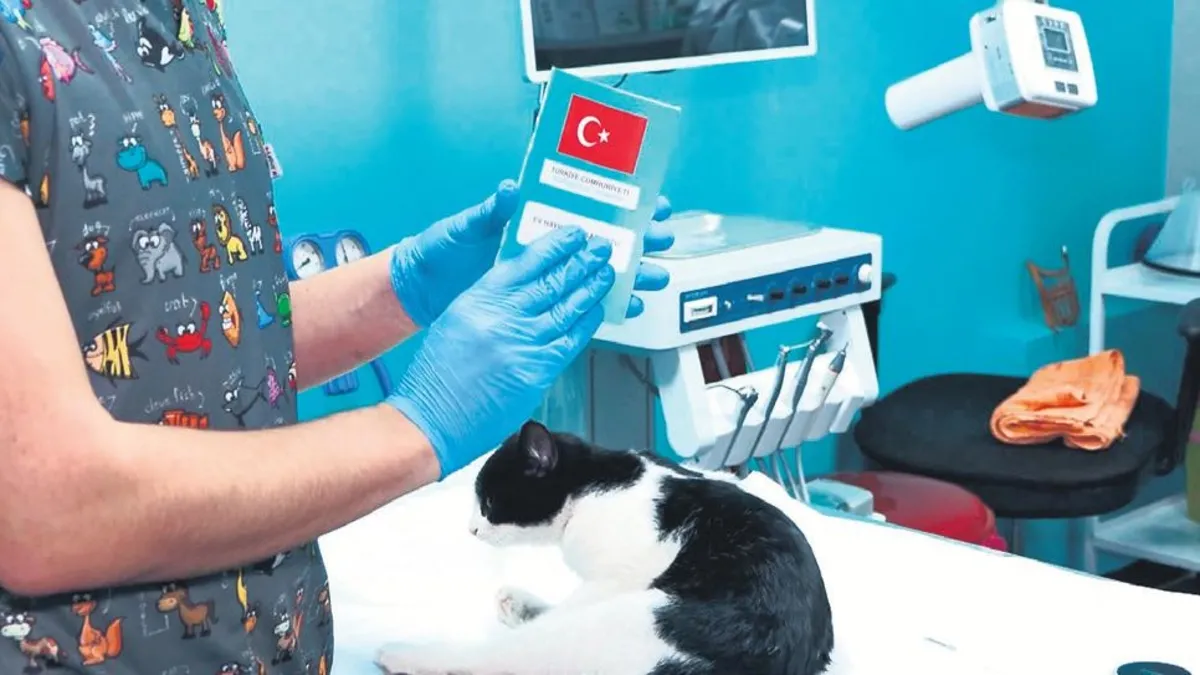 Çip taktırmak için son gün 31 aralık