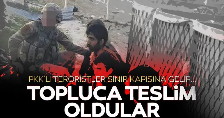 Silopi’de 4’ü kadın 6 PKK’lı terörist teslim oldu