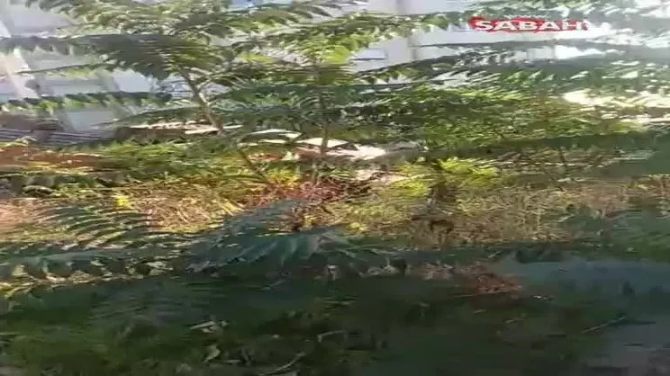 Freni patlayan kamyon, gecekonduya çarptı | Video
