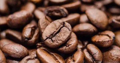 Kahve ucuzladı... 2 ülke fiyatları etkiledi: Mayıs 2024’ten beri ilk