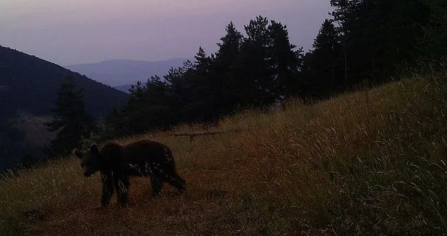 Soğuksu Milli Parkı Nerede, Nasıl Gidilir? Kızılcahamam Soğuksu Milli Parkı Yol Tarifi ve Giriş Ücreti
