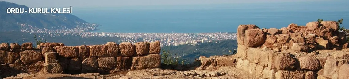ordu haber son dakika ordu haberleri