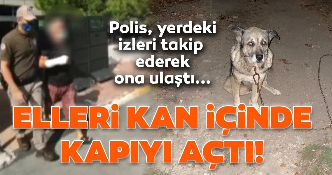Komsusuna Kizdi 3 Kopegi Bicakladi Son Dakika Haberler