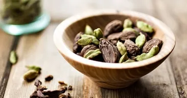 Kanser hücreleriyle savaşan bitki