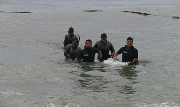 Derede, gölette, denizde boğularak can verdiler #balikesir