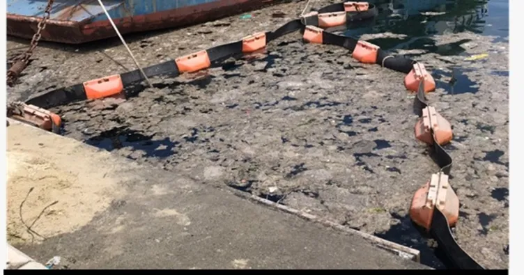 Doğal ortam bakterileri doğanın izinde