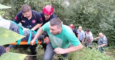 Fındık toplarken uçuruma yuvarlanan kadın için ekipler seferber oldu #trabzon