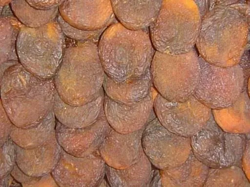 100'den fazla hastalığa iyi gelen bitki