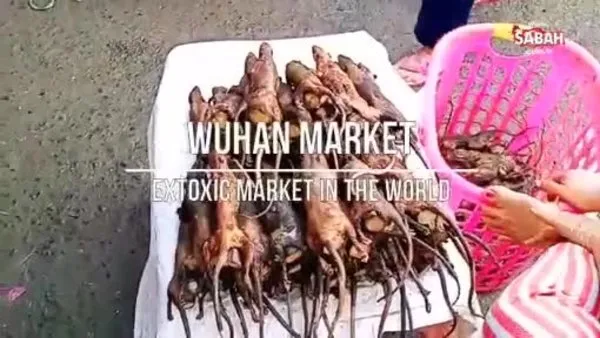 İşte Endonezya'dan mide bulandıran market görüntüleri +18 | Video