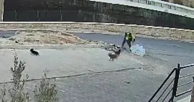 Şanlıurfa'da köpeğe işkence eden şahıs tutuklandı #sanliurfa