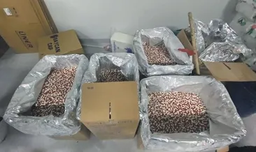 4 milyon uyuşturucu hap ele geçirildi