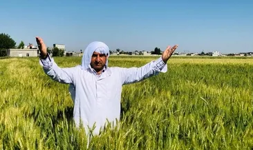 Şanlıurfalı çiftçilere müjde! Bayram öncesi ödenecek