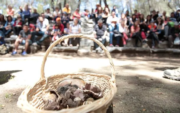 Geldi bahar ayları rotamız festival yolları!