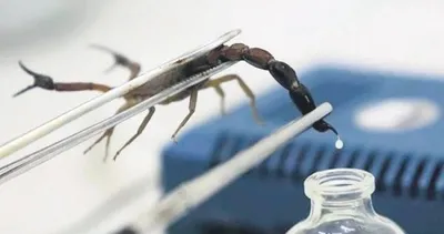 Dünya peşinde! Teklif yağıyor...