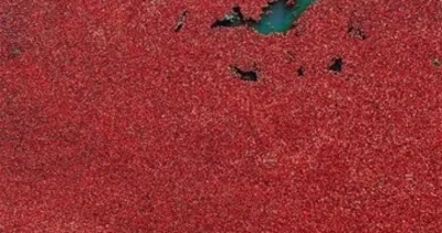 Dünyadan ilginç fotoğraflar