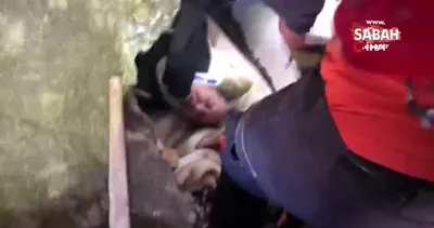 72 yaşındaki Necla Beyazıt 83 saat sonra umut oldu | Video