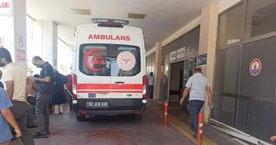 Haliliye’de otomobil pamuk tarlasına uçtu: 2 yaralı