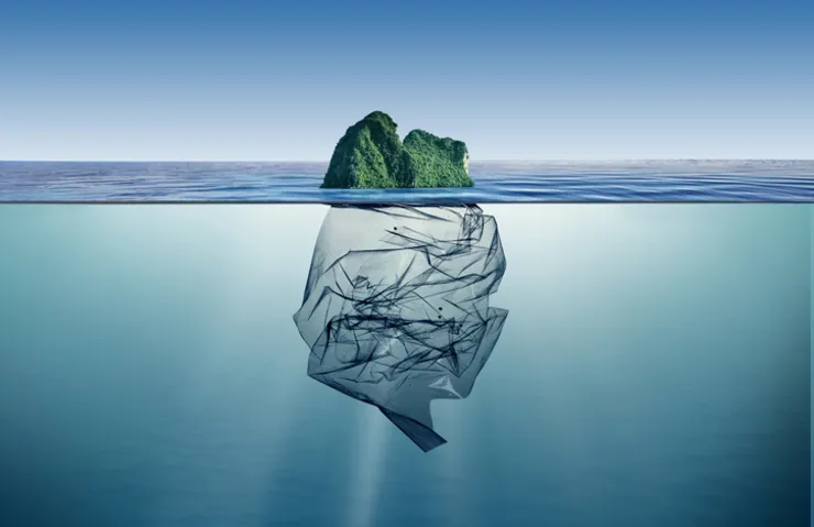 PLASTİK KİRLİLİĞİNE KARŞI GÜÇ BİRLİĞİ: BAKTERİLER ARASINDAKİ MUAZZAM İŞ BÖLÜMÜ