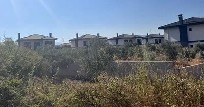 CHP’li belediye zeytinliklere böyle çöktü: Villa istilası