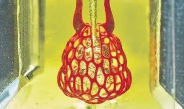 3D yazıcı ile akciğer için damar sistemi yapıldı